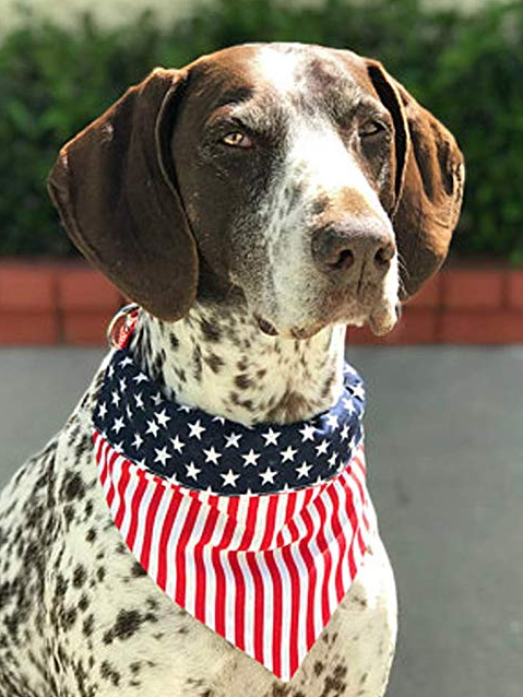 Patriotic Reversible Bandana for Large and Small Dogs