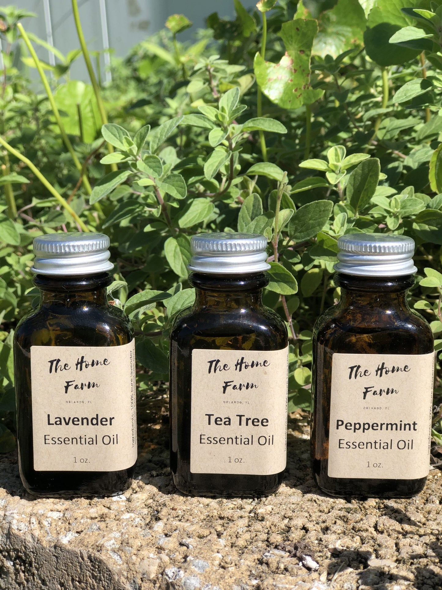 Essential Oils - Lavender/Tea Tree/Peppermint