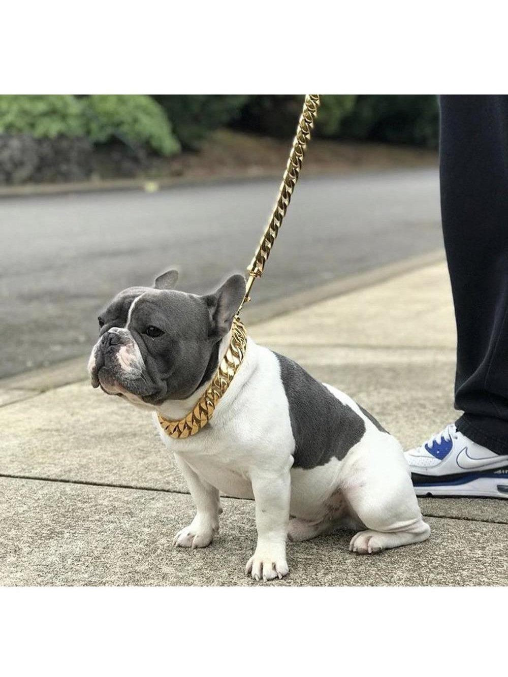 Kilo Cuban Link | Leash