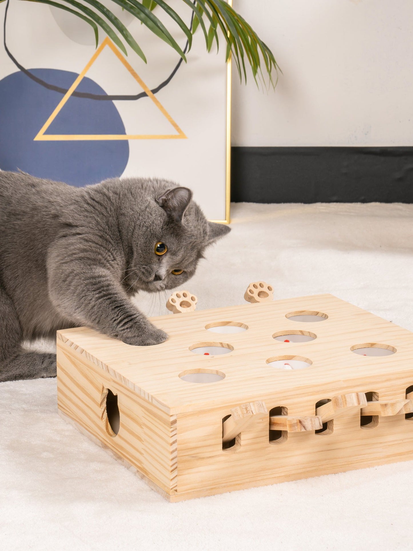 Mewoofun 8 Holes Cat Toy