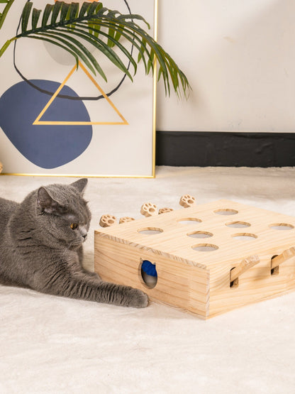 Mewoofun 8 Holes Cat Toy