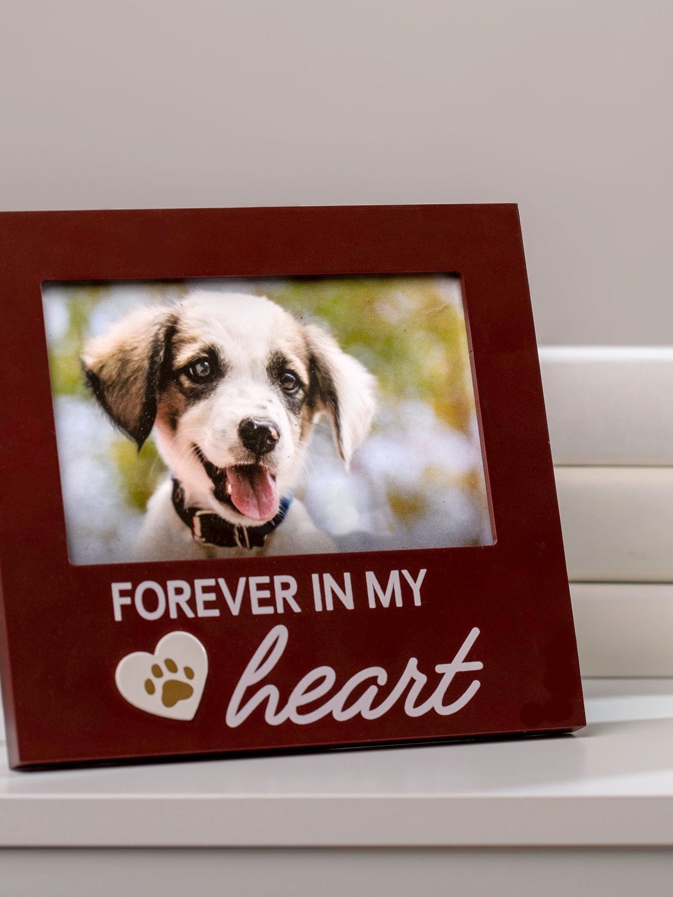 Forever in My Heart Dog Memorial Frame